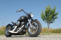 harley-davidson-heritage-1340-look-back-in-anger-2009