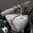 Stile Italiano
Special by stile italiano
Marca: Harley Davidson
Modello: Springer Bobber 1340 - 2010

Foto-3