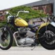 Stile Italiano
Special by stile italiano
Marca: Triumph
Modello: T110 "Spirit of 56" - 2011

Foto-3