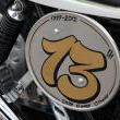 Stile Italiano
Special by stile italiano
Marca: Honda
Modello: XBR500 Flat Track - 2012

Foto-3