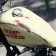 Stile Italiano
Special by stile italiano
Marca: Harley Davidson
Modello: 1340 "Rust 
Prezzo: VENDUTA
Foto-2