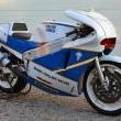 Stile Italiano
Classic & collection
Marca: Bimota
Modello: YB4 WSBK
Prezzo: su richiesta
Foto-1